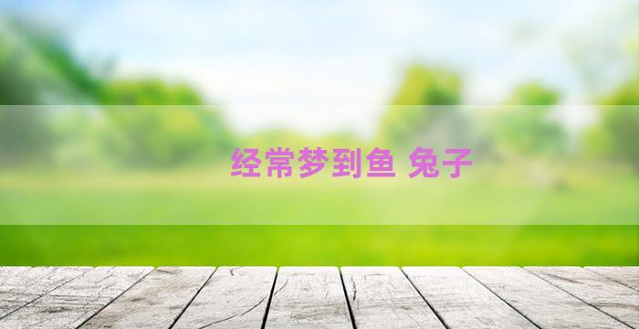 经常梦到鱼 兔子